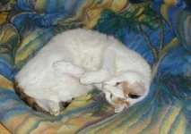 Im Bett fhl ich mich wohl