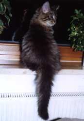 Die ganze Schnheit von hinten!