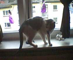 Beam mit seiner geliebten Maus