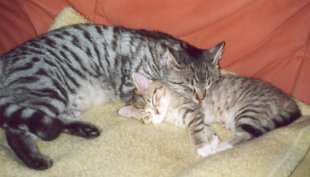 Eintrchtig aneinander gekuschelt