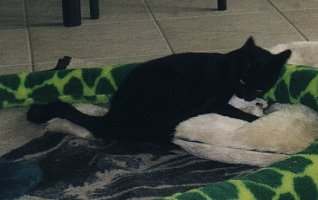 Carli, an die Schlange gekuschelt.