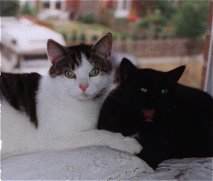 Ein Herz und eine Seele