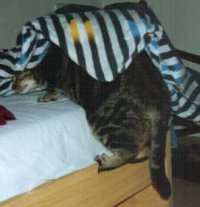 Und nicht mehr rausfinden!