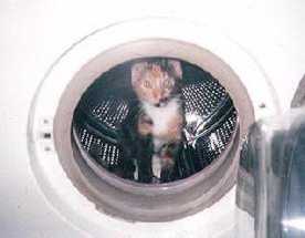 Chanice die Reinliche