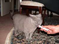 Don beim Leckerli abholen