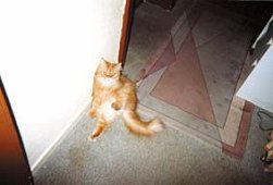 Douglas in seiner Lieblingspose