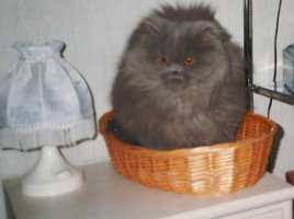 Gute Nacht alle zusammen, ich geh jetzt schlafen