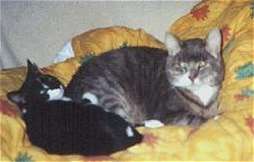 Felix und Fritzis Kuschelstunde