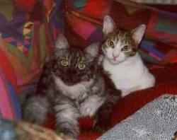 Bitte recht freundlich!