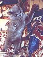 Flckchen ist sooo gro wie ein Br!