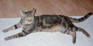 Florian ausnahmsweise mal ruhig