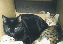 Spielpause fr Fyps und Gioia