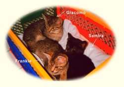 Giacomo, Samira und Frankie