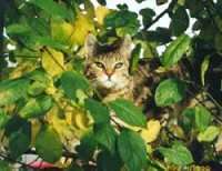 luftiger Ausguck fr Gioia