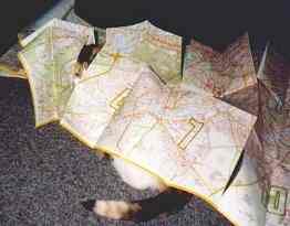 Lady unter dem Stadtplan