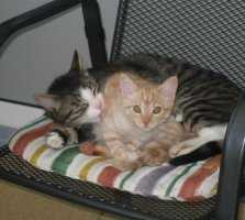 In trauter Zweisamkeit