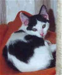 Julchen kuschelt auch mal gern