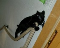 Katharina beim Klettern