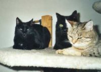 Take a break - Kyro, Mikesh und Gioia