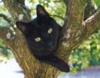 lauschiges Pltzchen von Kyro