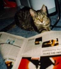 Leeloo wissensdurstig