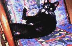 Leyla geniet ihr neues Leben