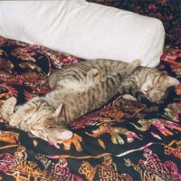 Eintrchtig beisammen