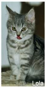 Lola