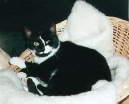 Lucy schmeisst sich in Pose