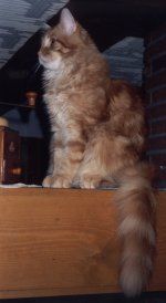 Lukas auf seinem Lieblingsplatz