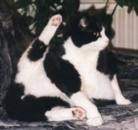 Lukas von seiner besten Seite :-D