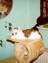 Marylin: Na ich bin hier der Boss, auch wenns keiner wei! ;-)