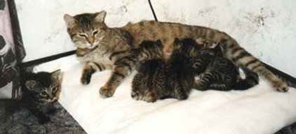 Die ganze Familie, nur Travis ist on tour