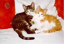 Nochmal beide aneinander gekuschelt