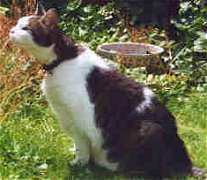 Molly nimmt Fhrte auf