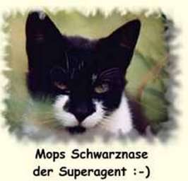 Mops Schwarznase