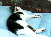 Moritz fhlt sich gestrt beim Entspannen