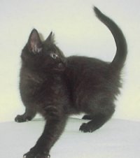 Der kleine Nachwuchs