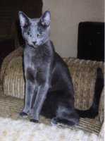 Wenn Ninchen so unschuldig guckt...oh, oh