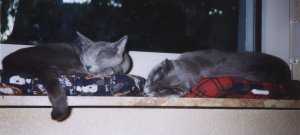 Mde getobt und geschafft