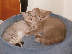 Enrico und Elaisa aneinandergekuschelt