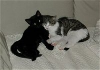 Ein Herz und eine Seele