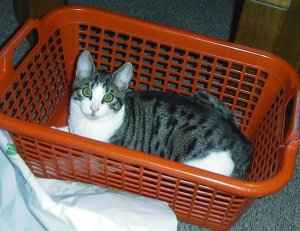 Einmal Paris mit Vorwsche!