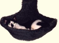 Pido-Schatz in der Decke