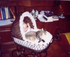 Puck im Puckenwagen, Jan. 2003