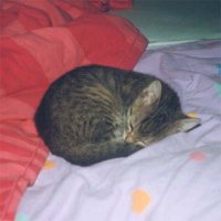 Puck als er noch jnger war!