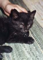 Puschkin in jngeren Jahren