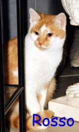Rosso