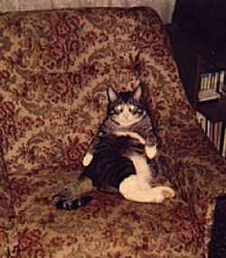 Herzlichst, icke und olle Rpel 
 (PS: Das war, als er ca. 2 Jahre alt war, oft sind pubertierende Jugendliche in Ihrer Jugend etwas pummelig...  ;o)))))))   ) 