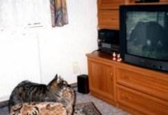 ...beim Fersehen schauen